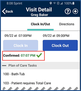 Confirmed Clock in on Visit Detail Confirmed Clock in on Visit Detail