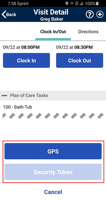 GPS and Security Token on the Visit Detail page GPS and Security Token on the Visit Detail page