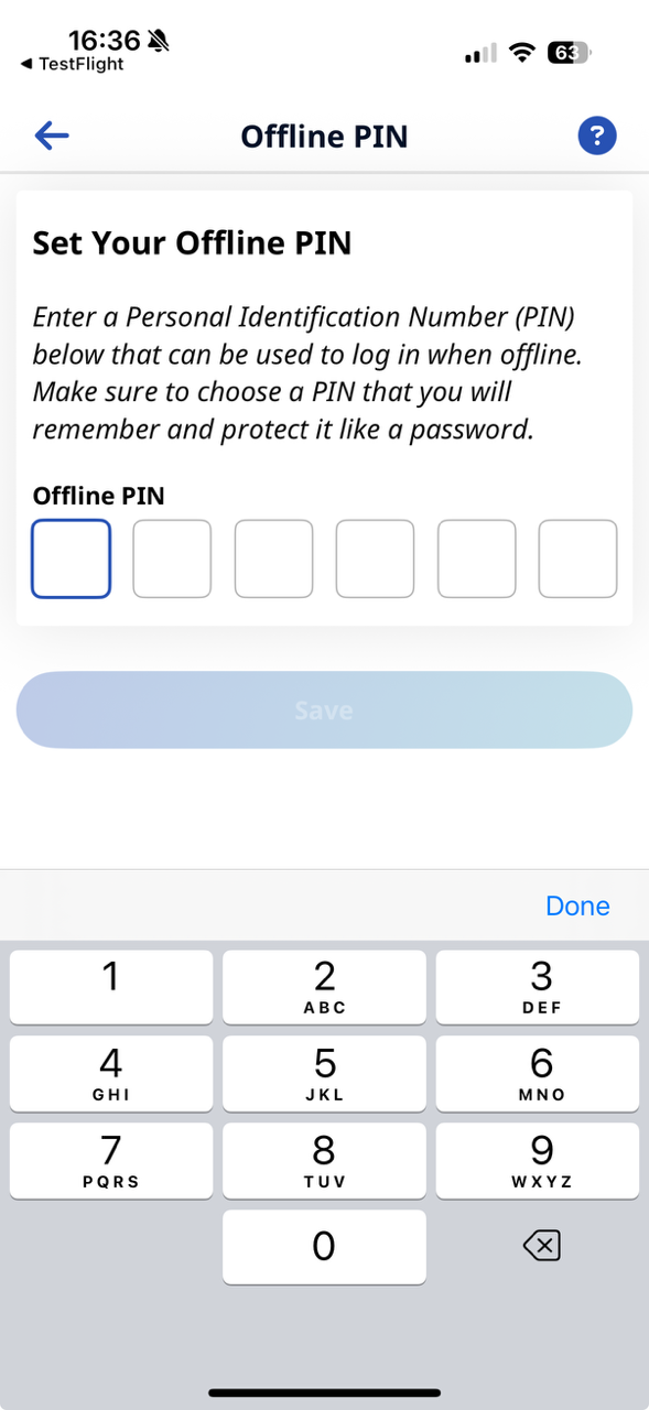 Offline Mode Pin Entry Offline Mode Pin Entry