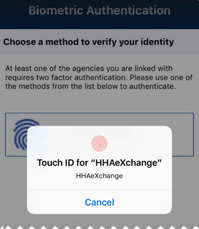 Use Touch ID to Authenticate