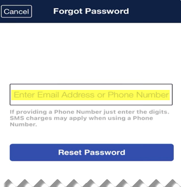 Enter Email or Phone Number. Click Reset Password.