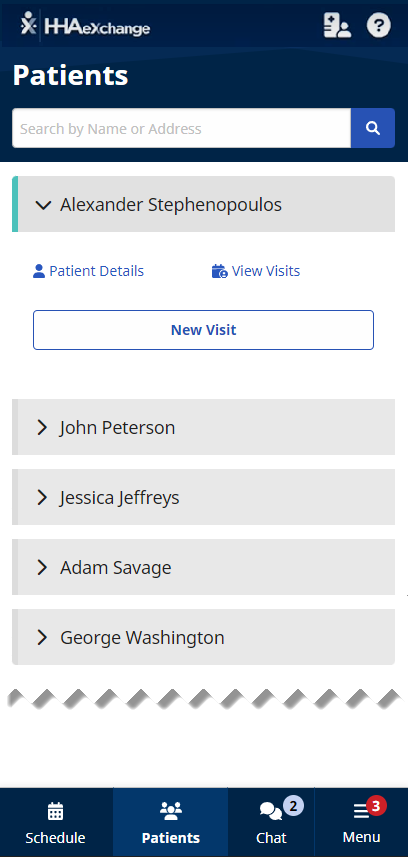 Partial image of Patients page showing Patient Selected to expand view to Patient Details, View Viists, and New Visit button