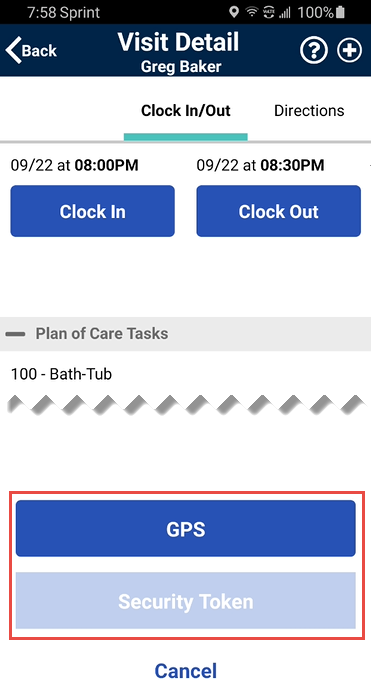 GPS and Security Token on the Visit Detail page