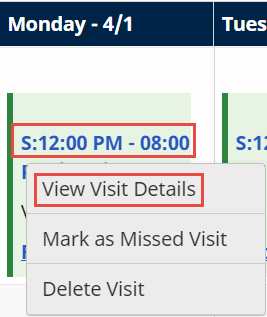 Appointments - View Visit Details Appointments - View Visit Details
