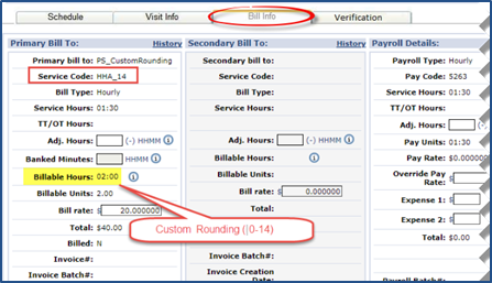 Bill Visit Info: Service Code and Billable Hours