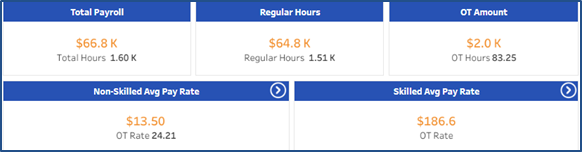 Payroll Dashboard – Indicator Widgets