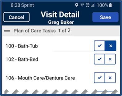 Review Plan of Care Tasks and then click Save