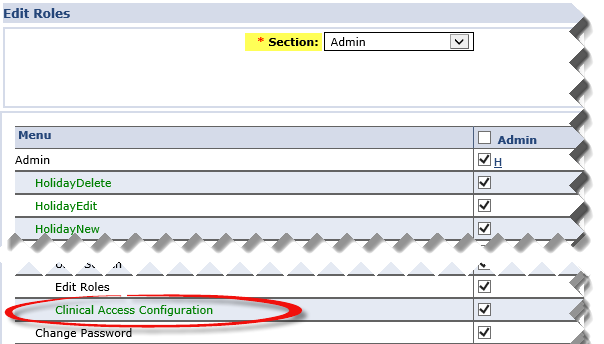 Clinical Access Configuration Permission (Admin)