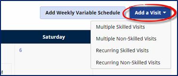 This image displays the highliighted Add a Visit button with menu of options.