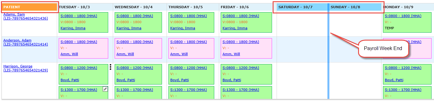 The Appointment Visit Grid – View By Patient