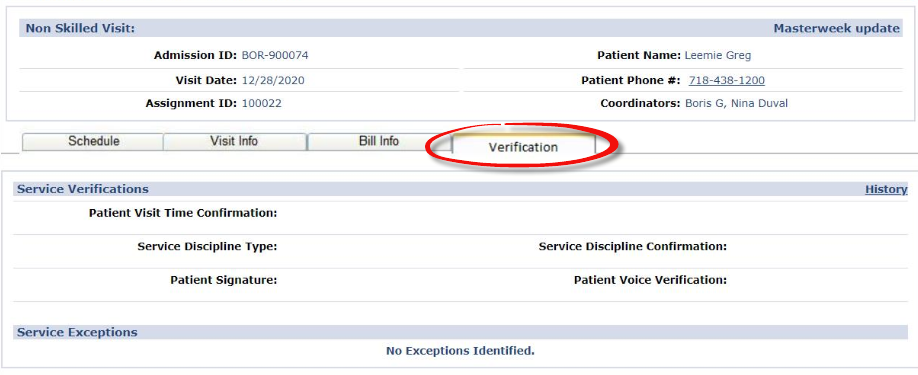 Visit Verification Tab