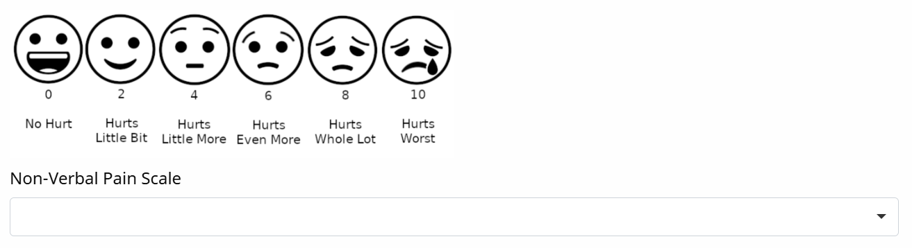 Pain Scale Example Pain Scale Example