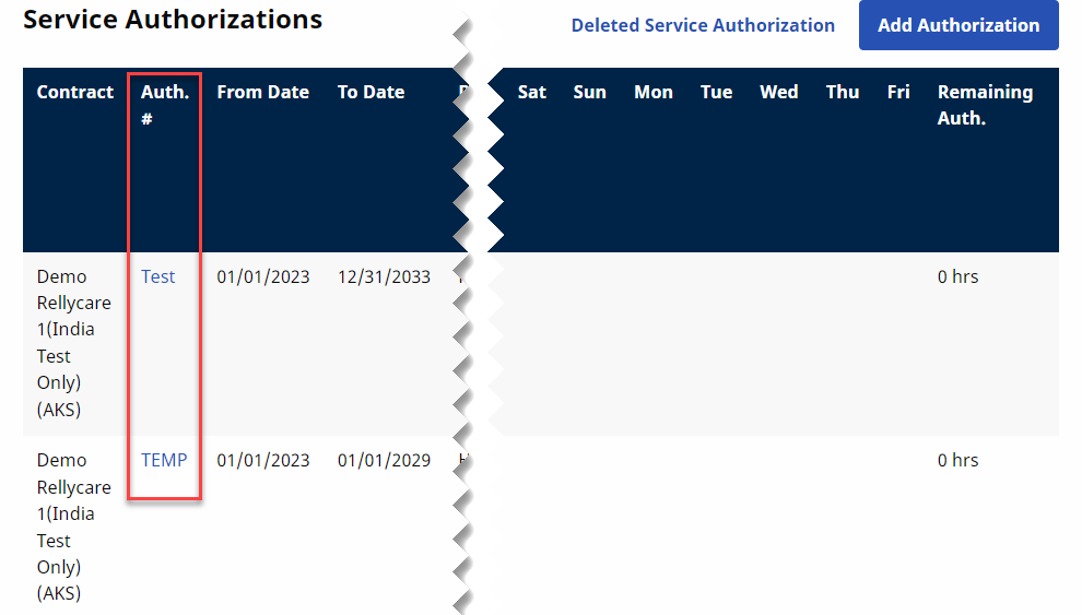 Patient Authorization Created by Provider This image shows TEMP under the Auth # column.